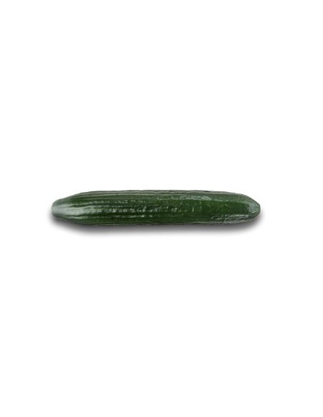 Graine Concombre Bambú F1 (hybride) (1 000 graines)
