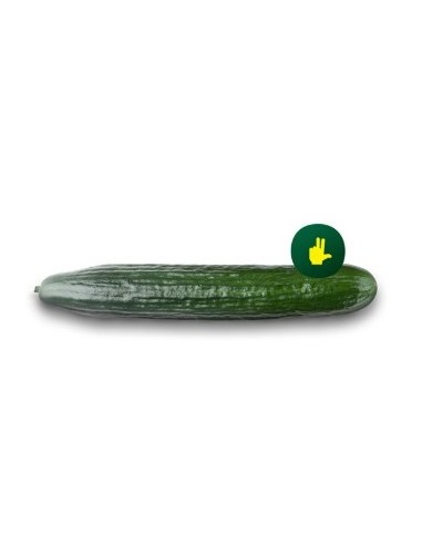 Semente de pepino Madroño F1 (híbrida) (1.000 sementes)