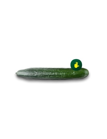 Semilla pepino Madroño F1 (híbrida) (1.000 semillas)