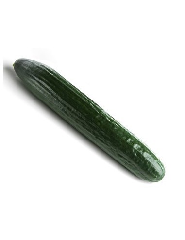 Semilla pepino Caobado F1 (híbrida) (1.000 semillas)