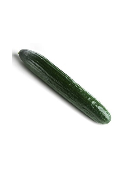 Semilla pepino Caobado F1 (híbrida) (1.000 semillas)