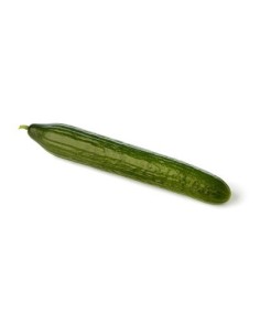 Semilla pepino Abeto F1 (híbrida) (1.000 semillas)