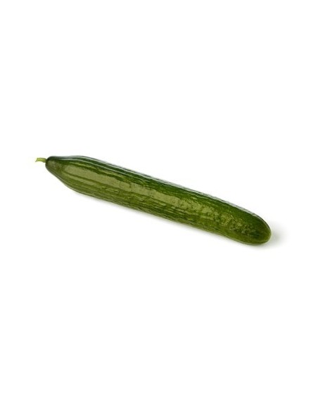 Semente de pepino Abeto F1 (híbrida) (1.000 sementes)
