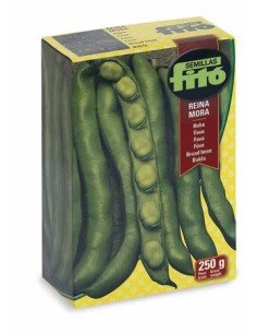 Llavor fava Reina mora (tipus Muchamiel)