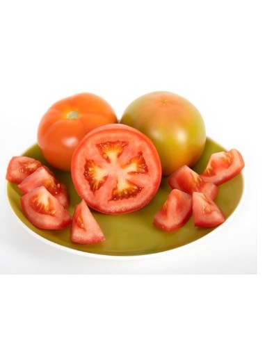 Semilla tomate Novero F1 (híbrida) (1.000 semillas)