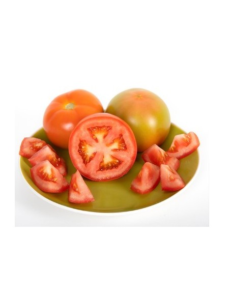Semilla tomate Novero F1 (híbrida) (1.000 semillas)