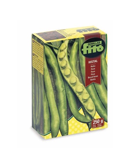 Semilla de haba Histal o Aguadulce