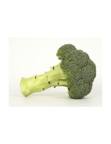 Graine de Brocoli Shard  F1 (hybride) (1.000 graine)