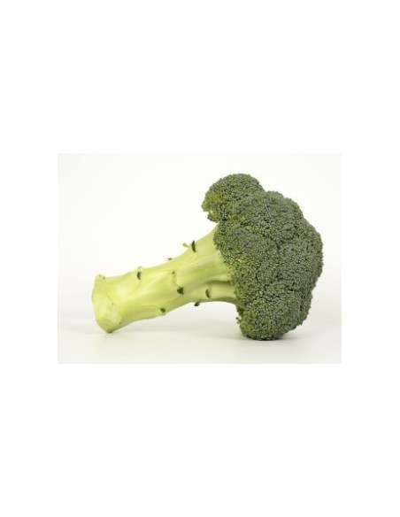 Semilla brócoli Shard F1 (híbrida) (1.000 semillas)