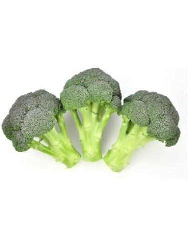 Graine de Brocoli Titanium F1 (hybride) (1.000 graine)