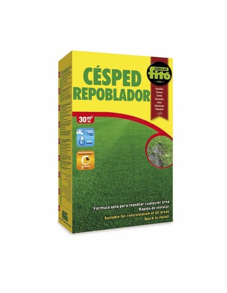 Graine de Gazon pour Repeuplement.