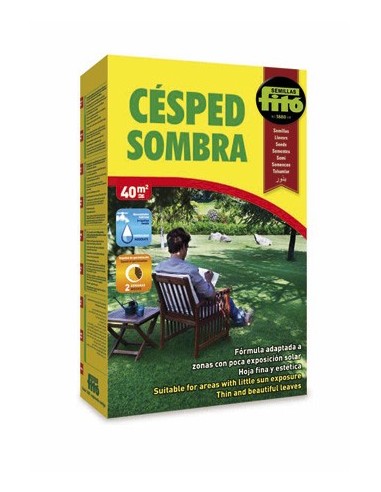 Semilla Césped Sombra