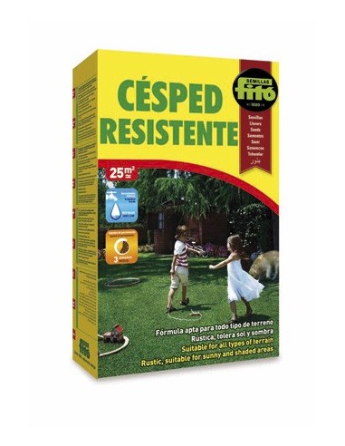 Semilla Césped Resistente