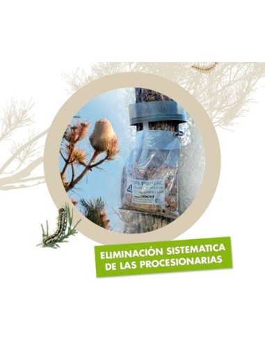 Trampa Procerex collar anti processionària