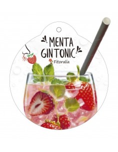 Menta Gin Tonic (maceta 14 cm Ø) 2