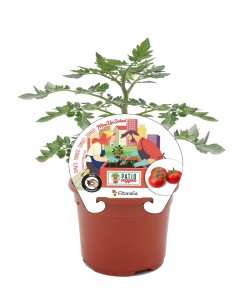 Planter Mini Salad natural (test 10,5 cm Ø)