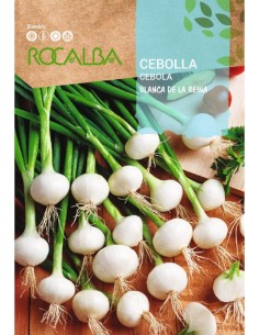 Semente de cebola branca de la reina