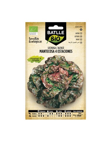 Llavor Enciam Maravilla 4 estacions (ecològica)