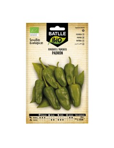 Semente de pimento padron (orgânico)