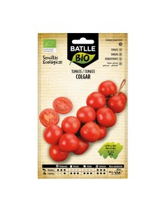 Semente de tomate pendurar (orgânico)