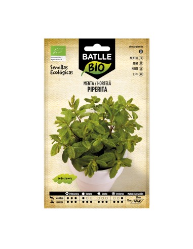 Semilla menta piperita (ecológica)