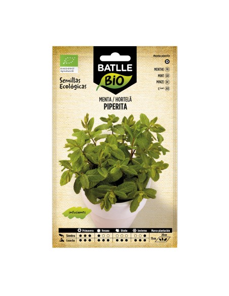 Semilla menta piperita (ecológica)