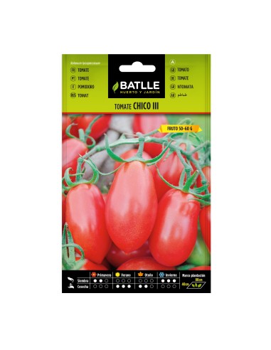 Semilla tomate Chico III