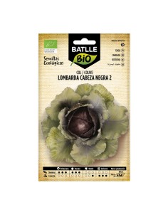 Semente de couve lombarda (orgânico)