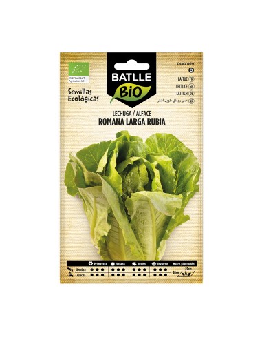 Graine de Laitue romaine longue blonde (biologique)