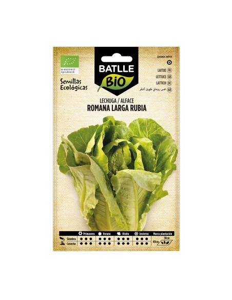 Graine de Laitue romaine longue blonde (biologique)