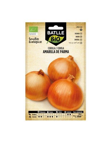 Semente de cebola amarela de Parma (orgânico)
