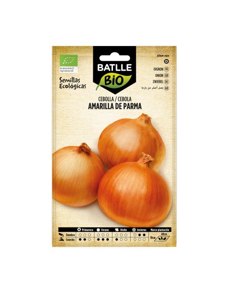 Semente de cebola amarela de Parma (orgânico)