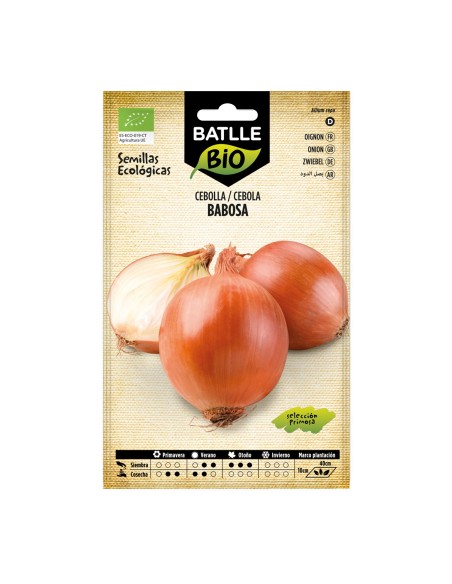 Semilla cebolla babosa (ecológica)