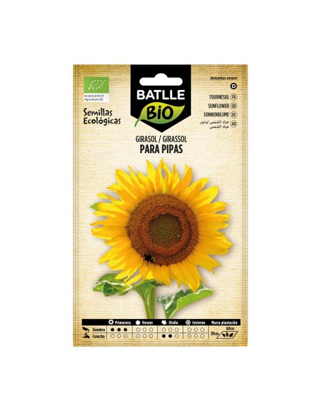 Graine de tournesol pour tuyaux (biologique)