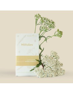 Semilla milenrama (achillea millefolium) (tradicional catalán) 2