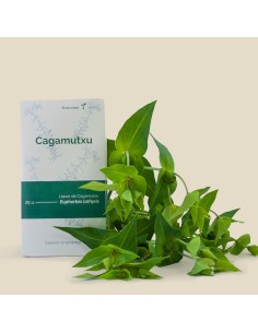 Semilla cagamuja (tradicional catalán)