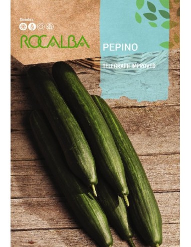 Semente de pepino Telegraph