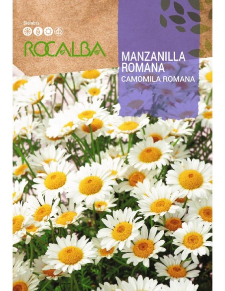 Semente de camonila-romana