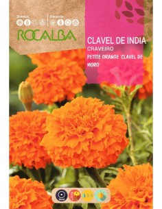 Llavor clavell de moro petit Orange