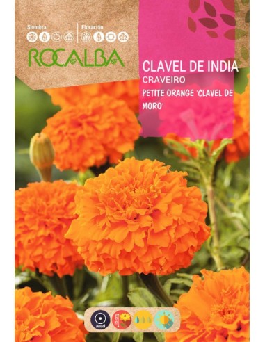 Semente de Cravos de India petit Orange