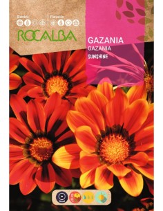 Llavor gazania Sunshine