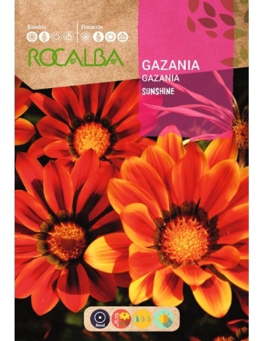 Semilla gazania Sunshine