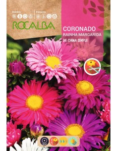 Llavor aster de la xina