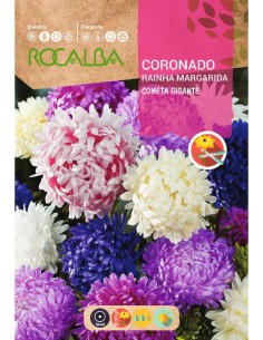 Graines de aster sinensis cometa