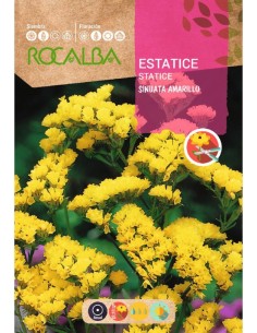 Semilla estatice amarillo