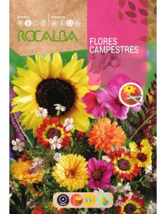 Graines de fleurs de campagne