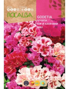 Graines de Godetia fleur d'azalée naine double