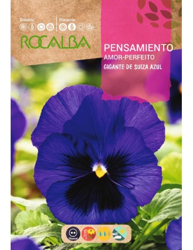 Semilla pensamiento gigante suizo azul