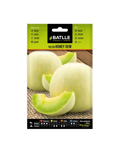 Semilla melón Honey Dew