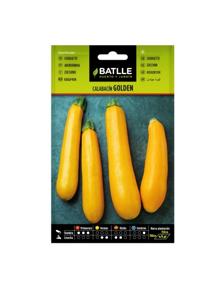 Graine de courgette Golden